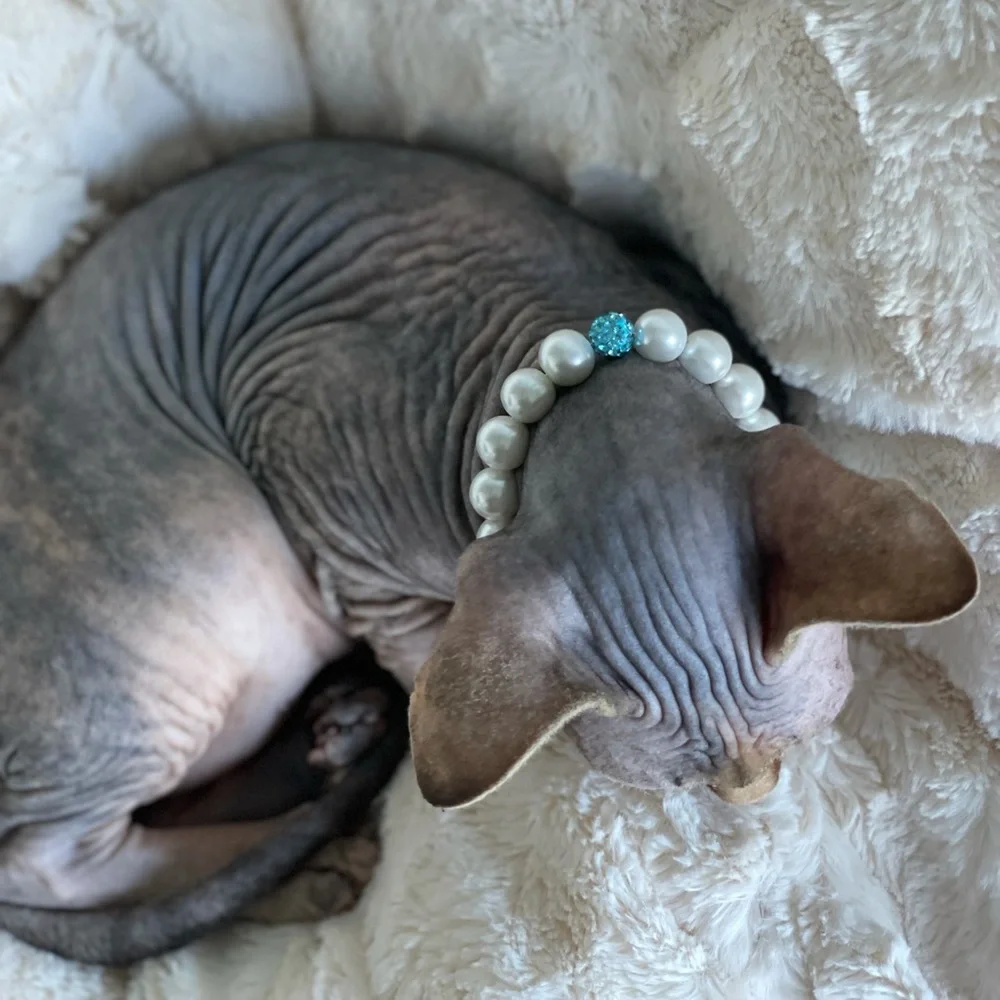 Magnetic clasp cat necklace/dog necklace